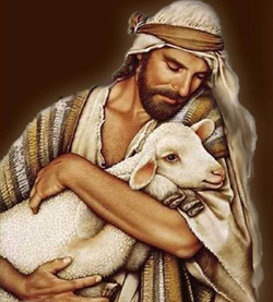 Jesús ama a sus ovejas