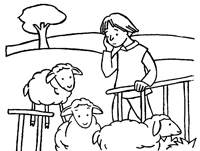 Las ovejas entran al aprisco